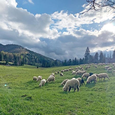 Tamok Lifestyle Villa Zakopane Esterno foto